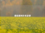 德信德州扑克定律