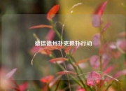 德信德州扑克抓扑行动
