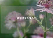 德信德州扑克入门