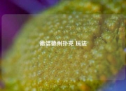 德信德州扑克 玩法