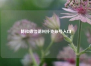 博雅德信德州扑克账号入口