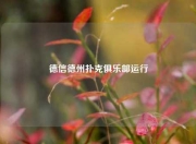 德信德州扑克俱乐部运行