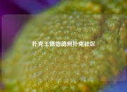 扑克王德信德州扑克社区