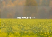 德信德州扑克check