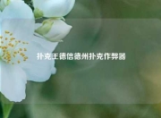扑克王德信德州扑克作弊器