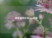 德信德州扑克2016边赛
