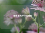 德信德州牌扑克视频