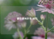 德信德州扑克 技巧