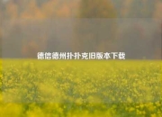 德信德州扑扑克旧版本下载