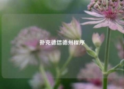 扑克德信德州程序