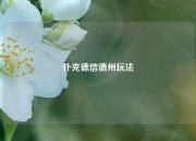 扑克德信德州玩法