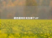 德信德州扑克在哪个APP