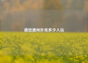 德信德州扑克多少人玩