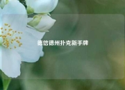 德信德州扑克新手牌
