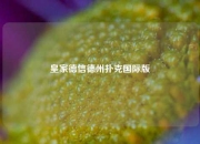 皇家德信德州扑克国际版