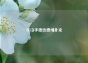 手拉手德信德州扑克