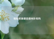 梭哈就是德信德州扑克吗