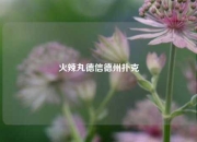 火辣丸德信德州扑克