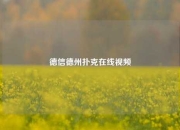 德信德州扑克在线视频
