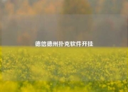 德信德州扑克软件开挂
