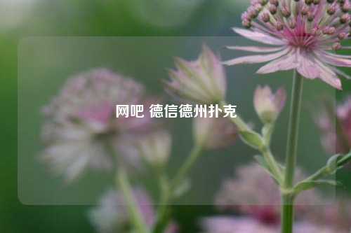 网吧 德信德州扑克