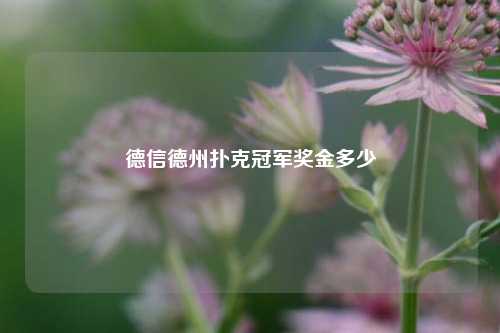 德信德州扑克冠军奖金多少