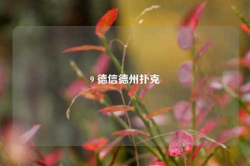 9 德信德州扑克