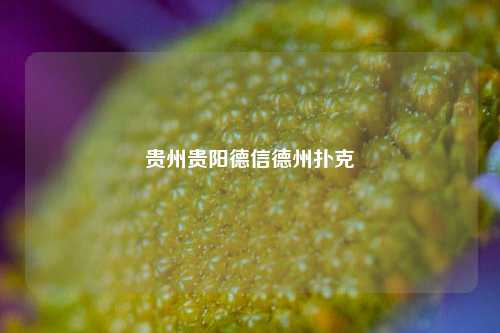 贵州贵阳德信德州扑克