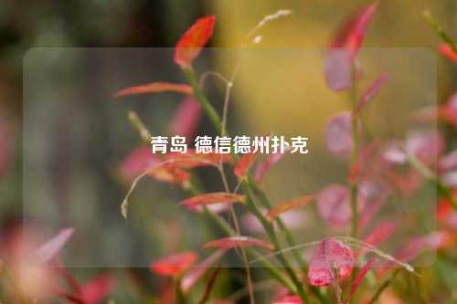 青岛 德信德州扑克