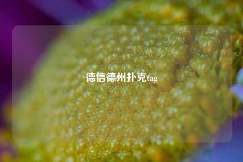 德信德州扑克tag