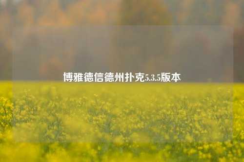 博雅德信德州扑克5.3.5版本