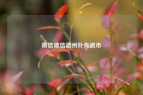 微信德信德州扑克退市