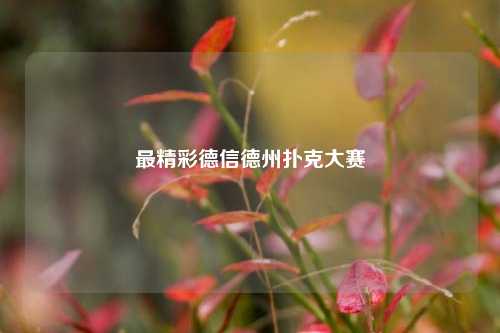 最精彩德信德州扑克大赛
