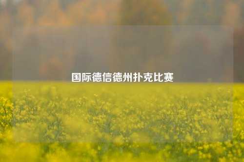国际德信德州扑克比赛