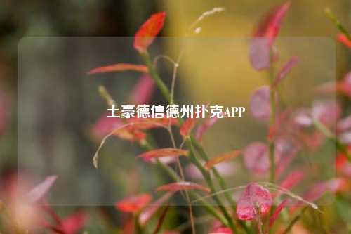 土豪德信德州扑克APP