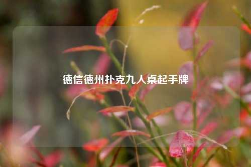 德信德州扑克九人桌起手牌