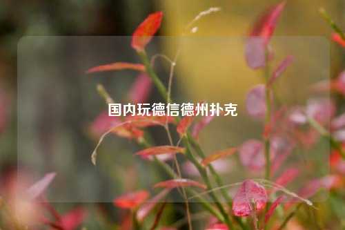 国内玩德信德州扑克