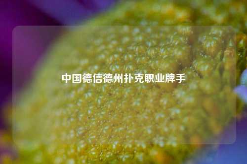 中国德信德州扑克职业牌手
