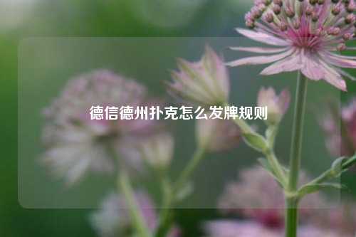 德信德州扑克怎么发牌规则