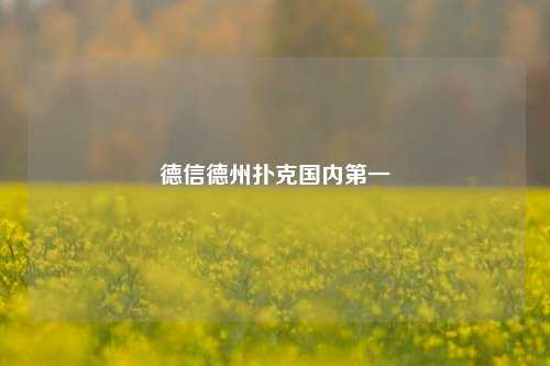 德信德州扑克国内第一