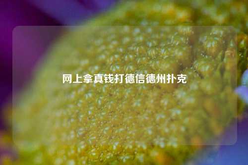网上拿真钱打德信德州扑克
