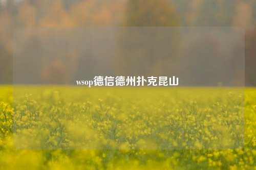 wsop德信德州扑克昆山