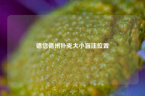 德信德州扑克大小盲注位置