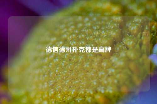 德信德州扑克都是高牌